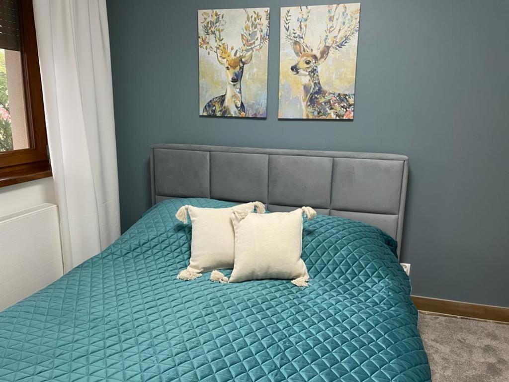Apartament Sosnowy Zakatek Gliwice Bagian luar foto